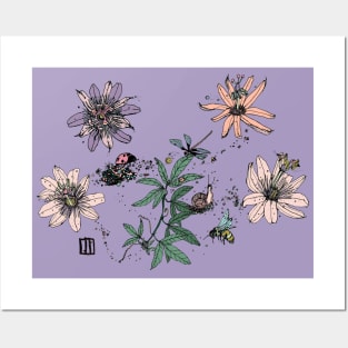 Passionflower Passion Collection Posters and Art